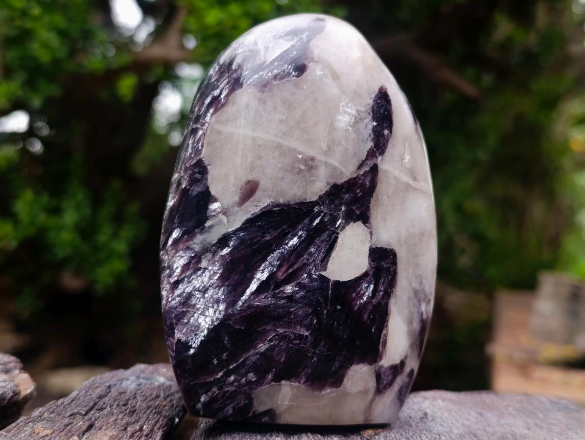 Polished Silver Leaf Lepidolite Standing Display Pieces x 2 From Zimbabwe - Toprock Gemstones and Minerals 
