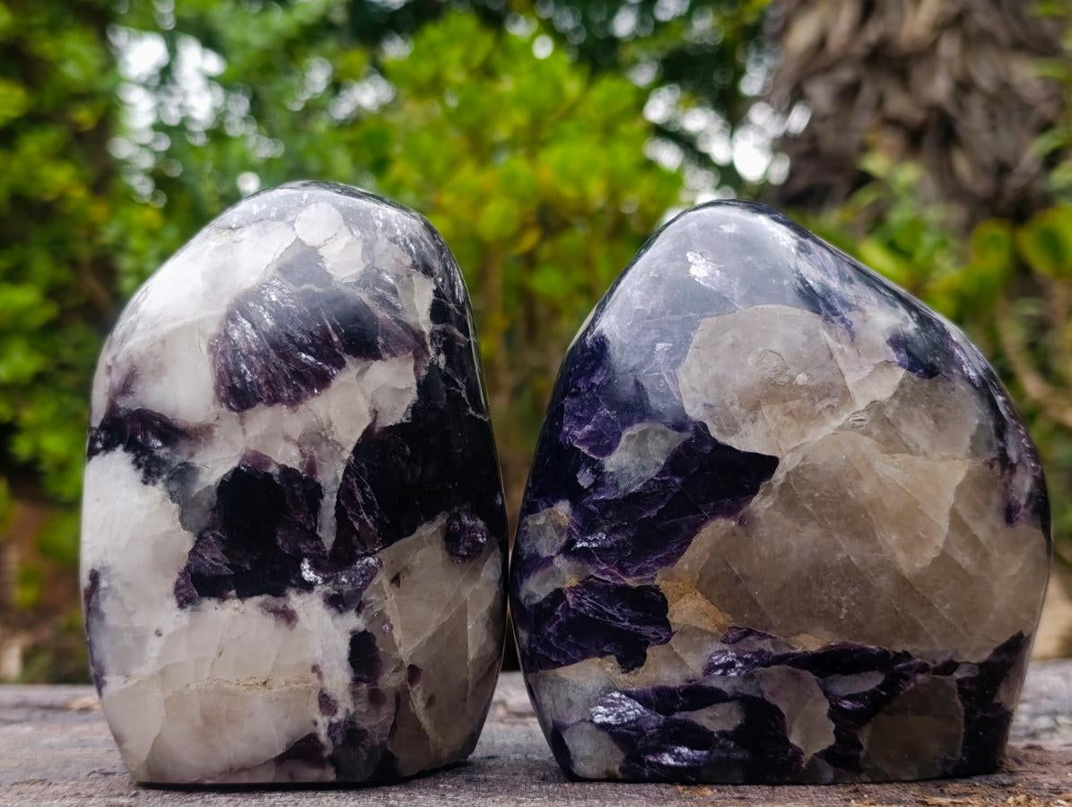 Polished Silver Leaf Lepidolite Standing Display Pieces x 2 From Zimbabwe - Toprock Gemstones and Minerals 
