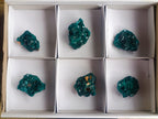 Natural Dioptase Specimens on Dolomite Matrix x 6 From Tantara Mine, Congo - Toprock Gemstones and Minerals 