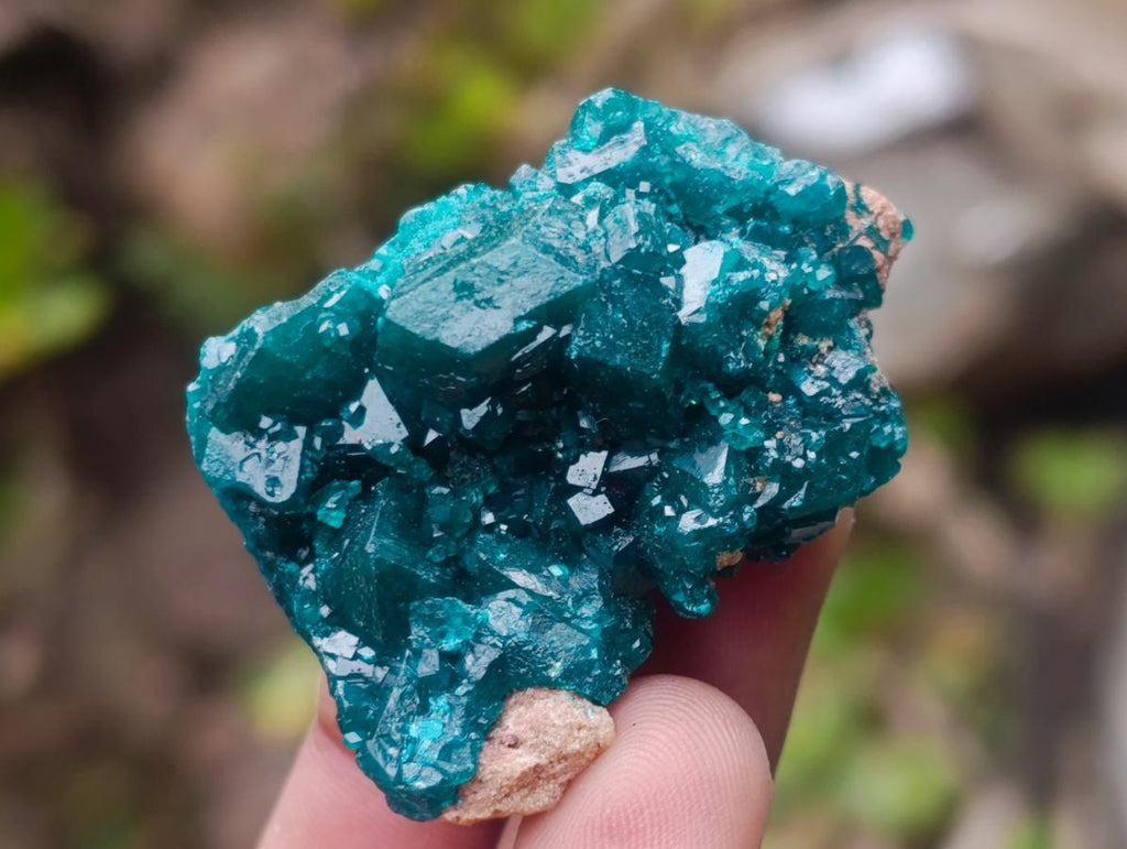 Natural Dioptase Specimens on Dolomite Matrix x 6 From Tantara Mine, Congo - Toprock Gemstones and Minerals 