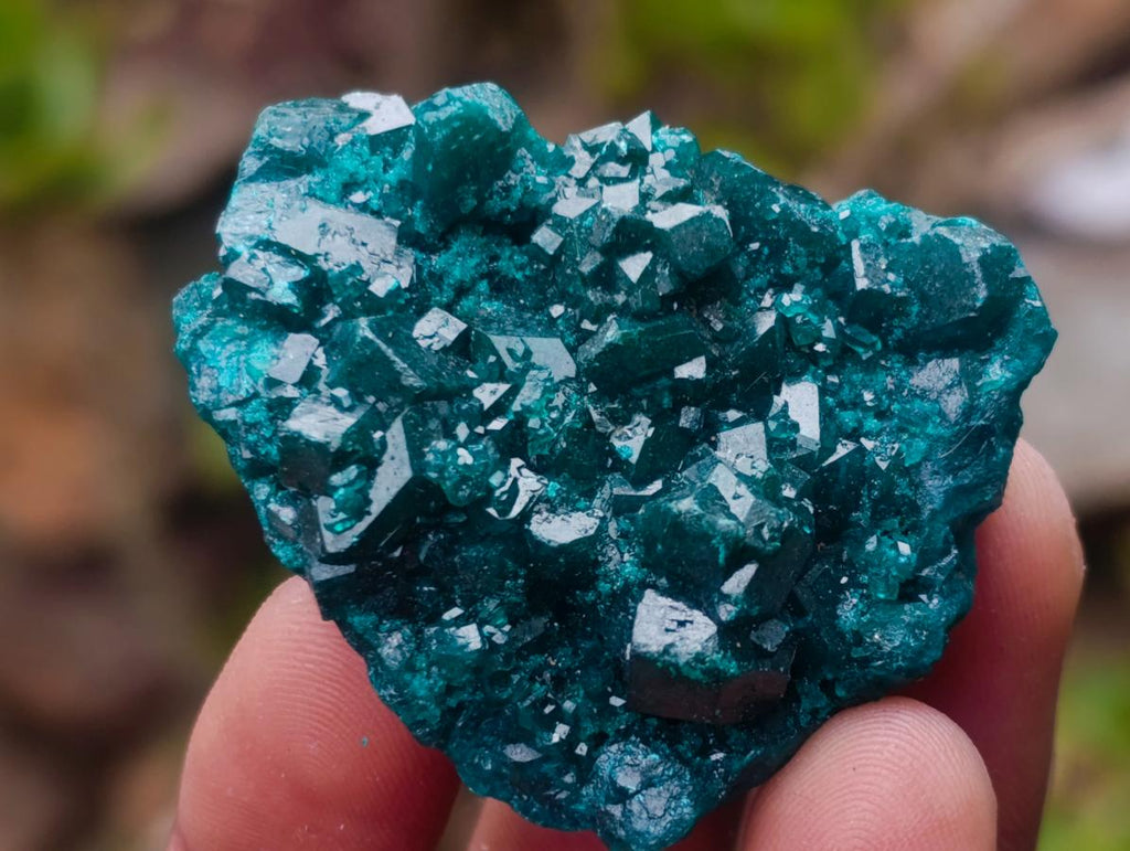 Natural Dioptase Specimens on Dolomite Matrix x 6 From Tantara Mine, Congo - Toprock Gemstones and Minerals 