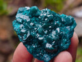 Natural Dioptase Specimens on Dolomite Matrix x 6 From Tantara Mine, Congo - Toprock Gemstones and Minerals 