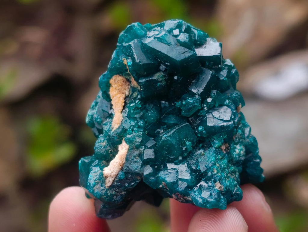 Natural Dioptase Specimens on Dolomite Matrix x 6 From Tantara Mine, Congo - Toprock Gemstones and Minerals 