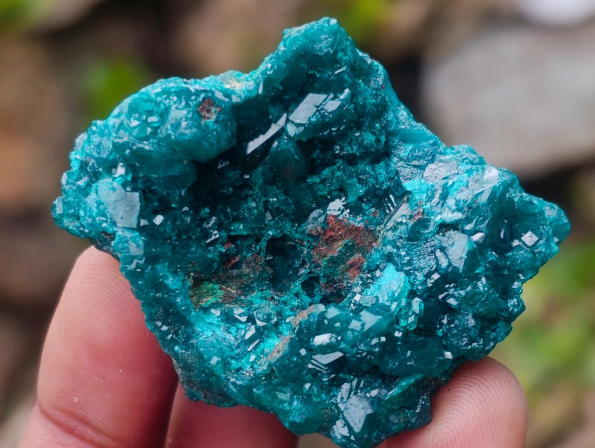 Natural Dioptase Specimens on Dolomite Matrix x 6 From Tantara Mine, Congo - Toprock Gemstones and Minerals 