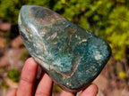 Polished and Natural Mtorolite Free Forms x 6 From Mutorashanga, Zimbabwe - Toprock Gemstones and Minerals 