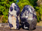 Polished Silver Leaf Lepidolite Standing Display Pieces x 7 From Zimbabwe - Toprock Gemstones and Minerals 