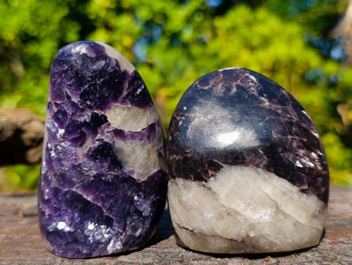 Polished Silver Leaf Lepidolite Standing Display Pieces x 7 From Zimbabwe - Toprock Gemstones and Minerals 