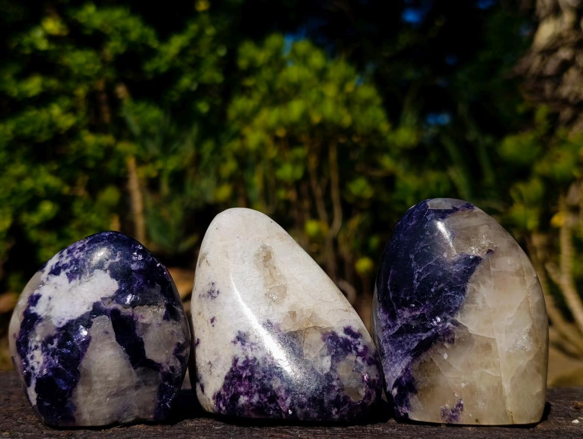 Polished Silver Leaf Lepidolite Standing Display Pieces x 7 From Zimbabwe - Toprock Gemstones and Minerals 