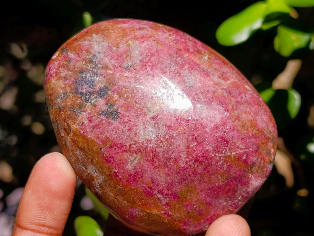 Polished Red Rhodesian Rhodonite Free Forms x 10 From Rhusinga, Zimbabwe - Toprock Gemstones and Minerals 