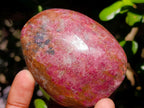 Polished Red Rhodesian Rhodonite Free Forms x 10 From Rhusinga, Zimbabwe - Toprock Gemstones and Minerals 