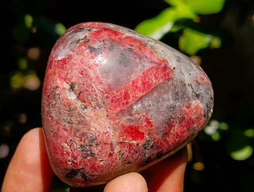Polished Red Rhodesian Rhodonite Free Forms x 10 From Rhusinga, Zimbabwe - Toprock Gemstones and Minerals 