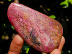 Polished Red Rhodesian Rhodonite Free Forms x 10 From Rhusinga, Zimbabwe - Toprock Gemstones and Minerals 