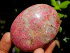 Polished Red Rhodesian Rhodonite Free Forms x 10 From Rhusinga, Zimbabwe - Toprock Gemstones and Minerals 