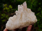Natural Malagasy Quartz Clusters x 6 From Madagascar - Toprock Gemstones and Minerals 