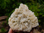 Natural Malagasy Quartz Clusters x 6 From Madagascar - Toprock Gemstones and Minerals 
