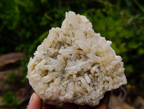 Natural Malagasy Quartz Clusters x 6 From Madagascar - Toprock Gemstones and Minerals 