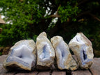 Natural Blue Lace Agate Geode and Vug Specimens x 12 From Nsanje, Malawi - Toprock Gemstones and Minerals 