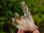 Natural Smokey Quartz Single Crystals x 70 From Zambia - Toprock Gemstones and Minerals 
