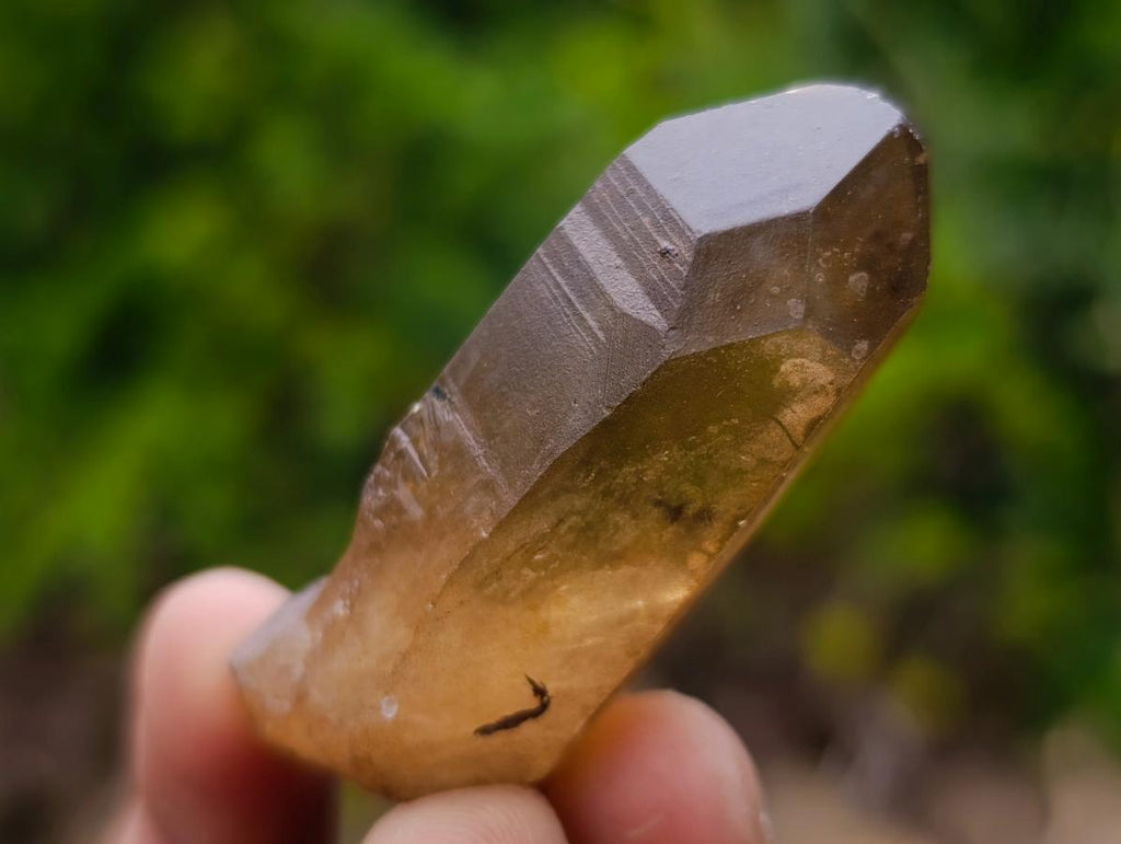 Natural Smokey Quartz Single Crystals x 70 From Zambia - Toprock Gemstones and Minerals 