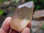 Natural Smokey Quartz Single Crystals x 70 From Zambia - Toprock Gemstones and Minerals 