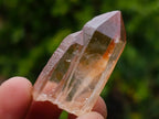 Natural Smokey Quartz Single Crystals x 70 From Zambia - Toprock Gemstones and Minerals 