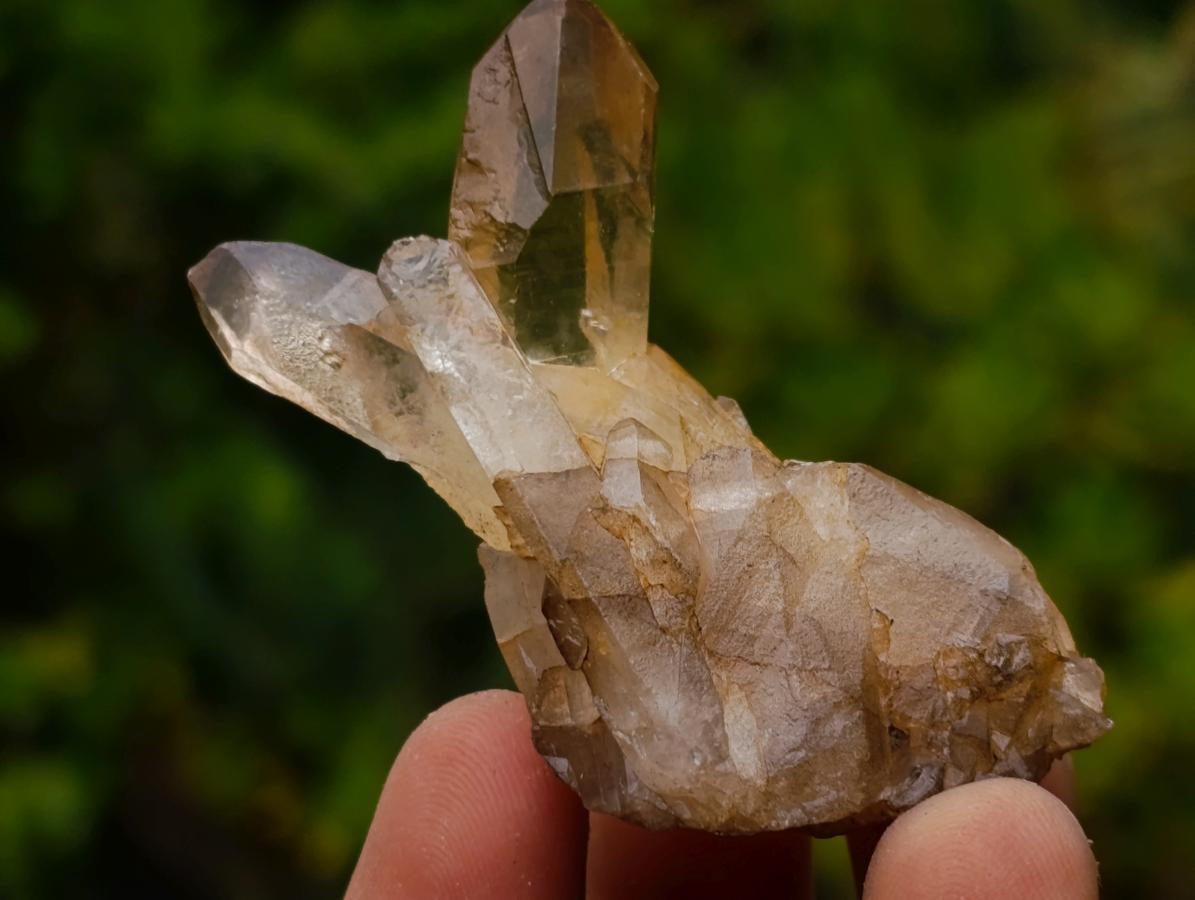 Natural Smokey Quartz Single Crystals x 70 From Zambia - Toprock Gemstones and Minerals 
