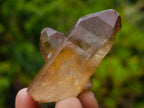 Natural Smokey Quartz Single Crystals x 70 From Zambia - Toprock Gemstones and Minerals 