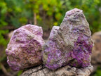 Natural Cobbed Stichtite Specimens x 24 From Barberton, South Africa - Toprock Gemstones and Minerals 