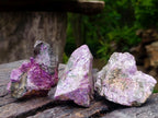 Natural Cobbed Stichtite Specimens x 24 From Barberton, South Africa - Toprock Gemstones and Minerals 