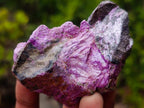Natural Cobbed Stichtite Specimens x 24 From Barberton, South Africa - Toprock Gemstones and Minerals 