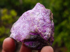 Natural Cobbed Stichtite Specimens x 24 From Barberton, South Africa - Toprock Gemstones and Minerals 