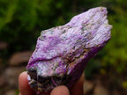 Natural Cobbed Stichtite Specimens x 24 From Barberton, South Africa - Toprock Gemstones and Minerals 
