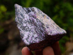 Natural Cobbed Stichtite Specimens x 24 From Barberton, South Africa - Toprock Gemstones and Minerals 