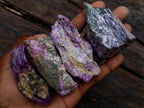 Natural Cobbed Stichtite Specimens x 24 From Barberton, South Africa - Toprock Gemstones and Minerals 