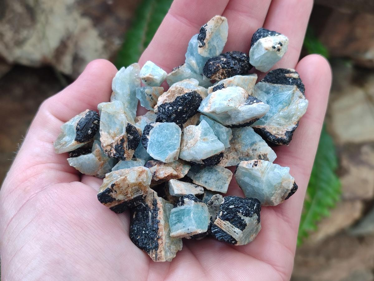 Natural Rare Aquamarine in Black Tourmaline Semi Crystal Specimens x 1,83 Kg Lot From Karibib, Namibia - Toprock Gemstones and Minerals 