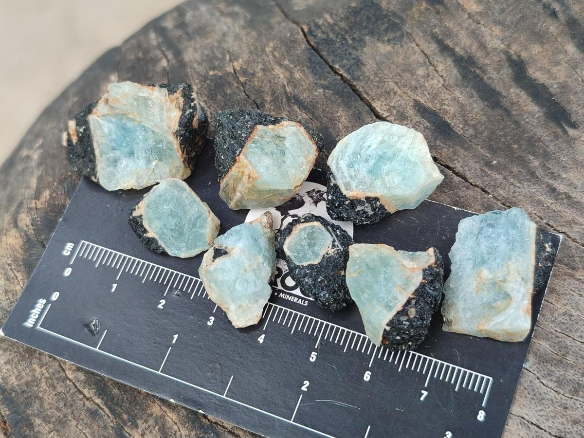 Natural Rare Aquamarine in Black Tourmaline Semi Crystal Specimens x 1,83 Kg Lot From Karibib, Namibia - Toprock Gemstones and Minerals 