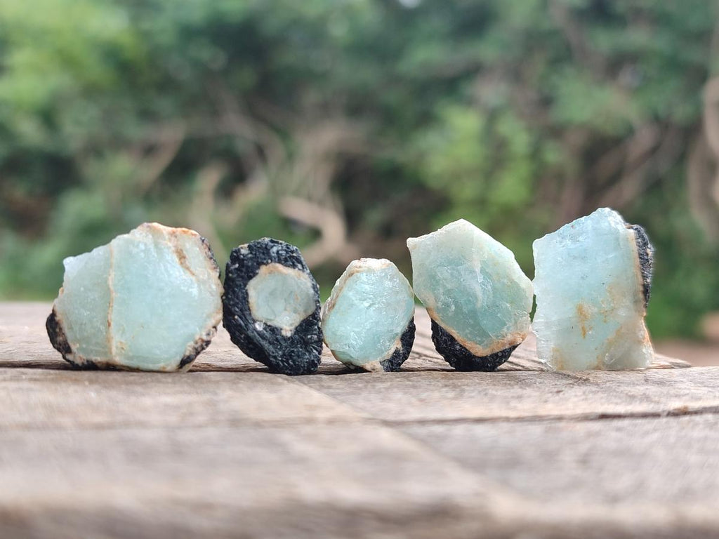 Natural Rare Aquamarine in Black Tourmaline Semi Crystal Specimens x 1,83 Kg Lot From Karibib, Namibia - Toprock Gemstones and Minerals 
