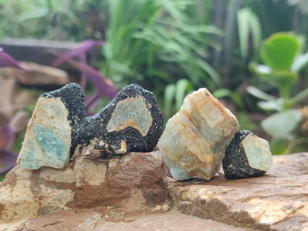 Natural Rare Aquamarine in Black Tourmaline Semi Crystal Specimens x 1,83 Kg Lot From Karibib, Namibia - Toprock Gemstones and Minerals 