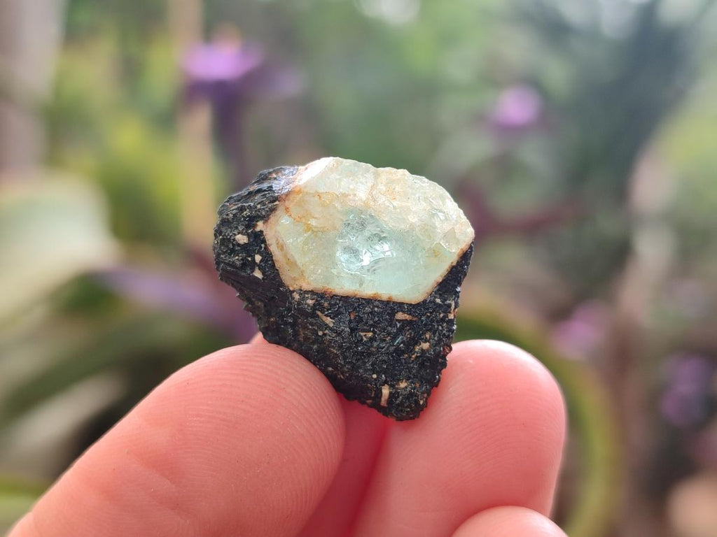 Natural Rare Aquamarine in Black Tourmaline Semi Crystal Specimens x 1,83 Kg Lot From Karibib, Namibia - Toprock Gemstones and Minerals 