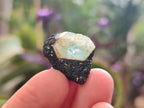 Natural Rare Aquamarine in Black Tourmaline Semi Crystal Specimens x 1,83 Kg Lot From Karibib, Namibia - Toprock Gemstones and Minerals 