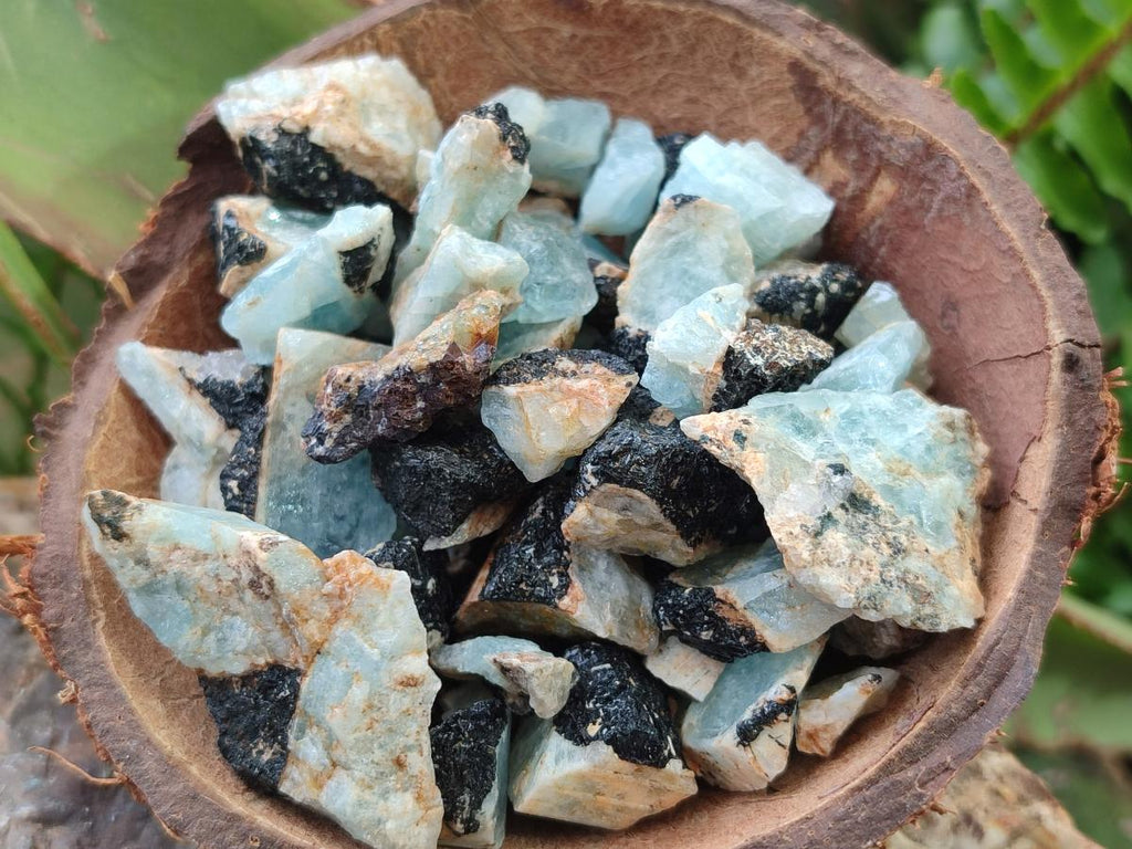 Natural Rare Aquamarine in Black Tourmaline Semi Crystal Specimens x 1,83 Kg Lot From Karibib, Namibia - Toprock Gemstones and Minerals 
