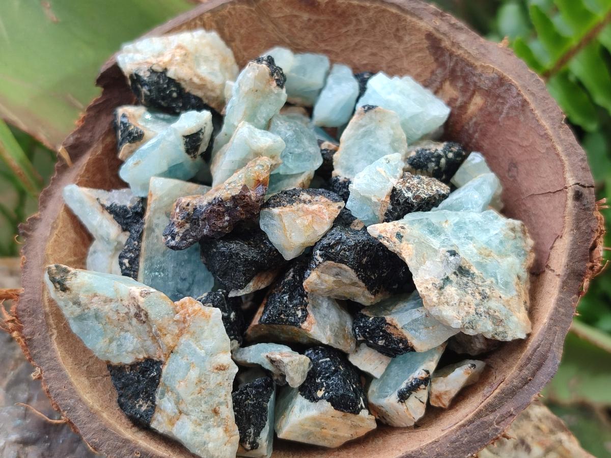 Natural Rare Aquamarine in Black Tourmaline Semi Crystal Specimens x 1,83 Kg Lot From Karibib, Namibia - Toprock Gemstones and Minerals 