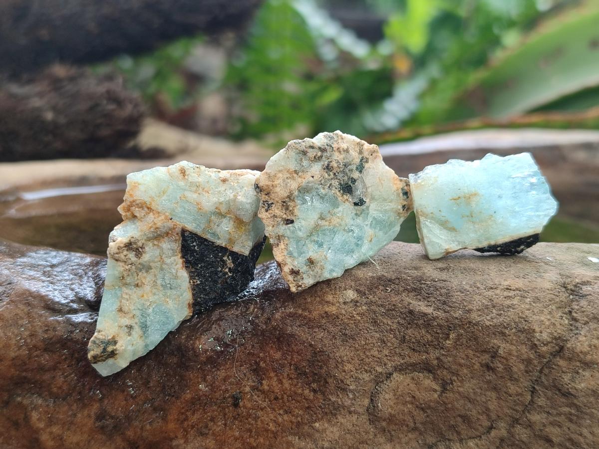 Natural Rare Aquamarine in Black Tourmaline Semi Crystal Specimens x 1,83 Kg Lot From Karibib, Namibia - Toprock Gemstones and Minerals 