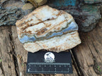 Polished and Natural Blue Lace Agate with Crazy Lace Slices x 4 From Namibia - Toprock Gemstones and Minerals 