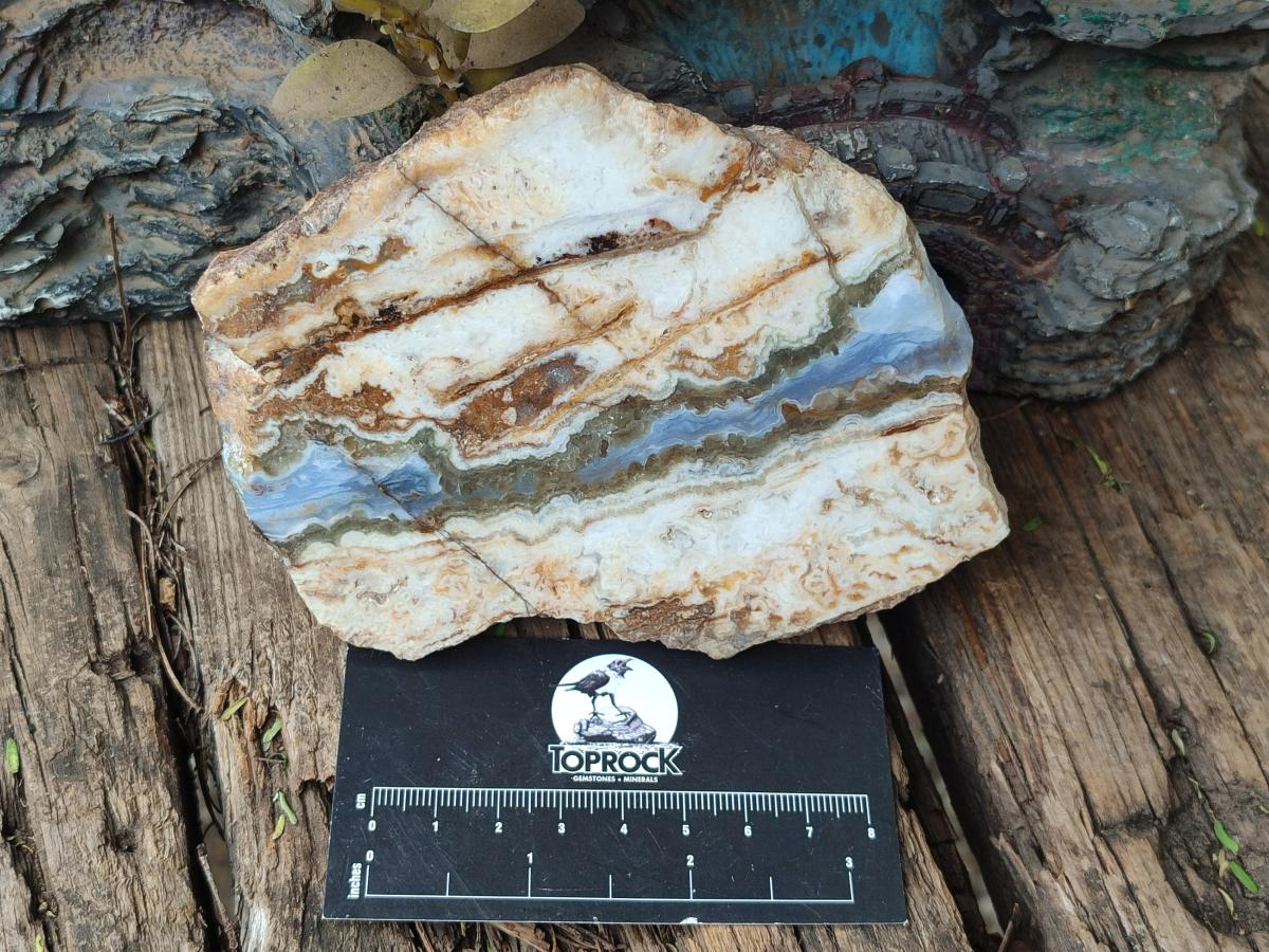 Polished and Natural Blue Lace Agate with Crazy Lace Slices x 4 From Namibia - Toprock Gemstones and Minerals 