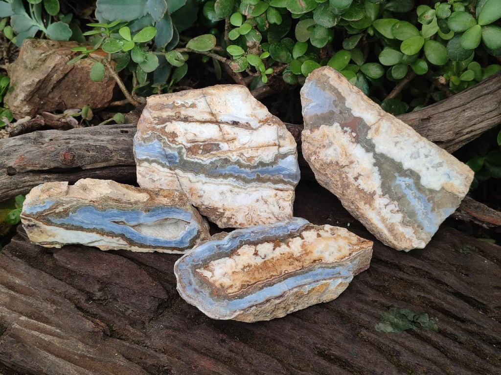 Polished and Natural Blue Lace Agate with Crazy Lace Slices x 4 From Namibia - Toprock Gemstones and Minerals 
