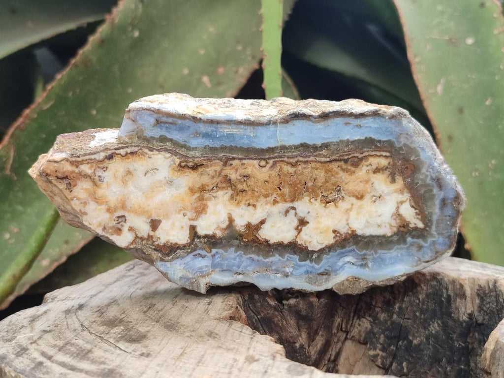 Polished and Natural Blue Lace Agate with Crazy Lace Slices x 4 From Namibia - Toprock Gemstones and Minerals 