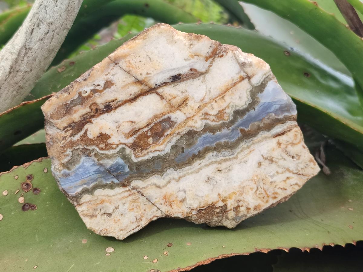 Polished and Natural Blue Lace Agate with Crazy Lace Slices x 4 From Namibia - Toprock Gemstones and Minerals 
