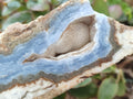 Polished and Natural Blue Lace Agate with Crazy Lace Slices x 4 From Namibia - Toprock Gemstones and Minerals 