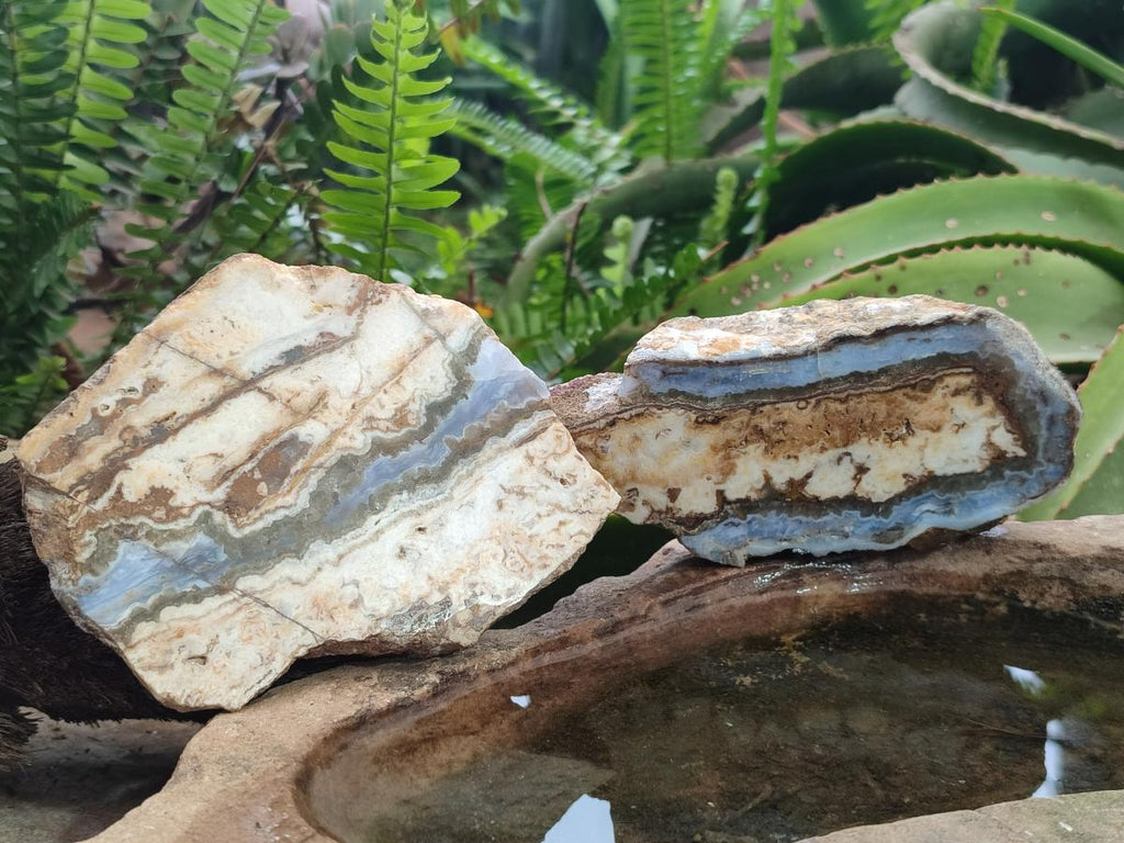 Polished and Natural Blue Lace Agate with Crazy Lace Slices x 4 From Namibia - Toprock Gemstones and Minerals 